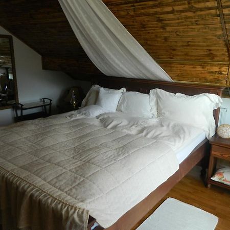 Pensiunea Romantic Sadu Exterior foto