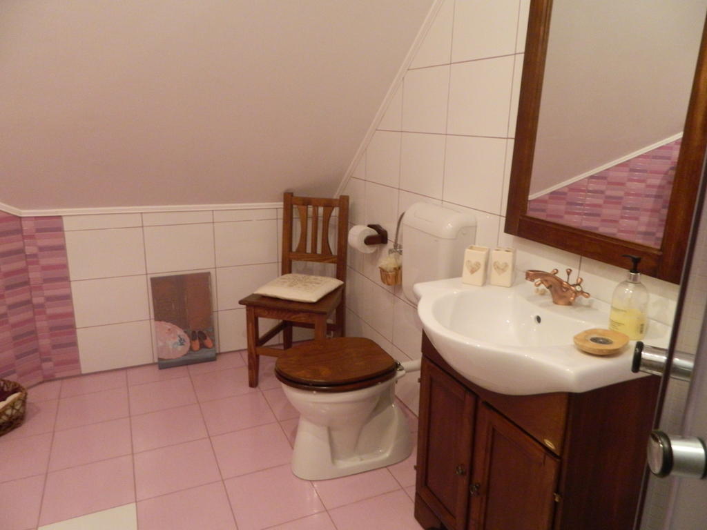 Pensiunea Romantic Sadu Zimmer foto