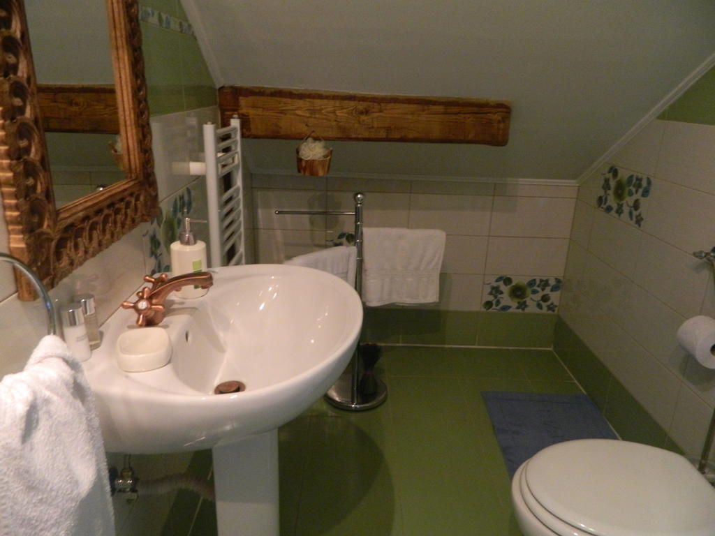 Pensiunea Romantic Sadu Zimmer foto