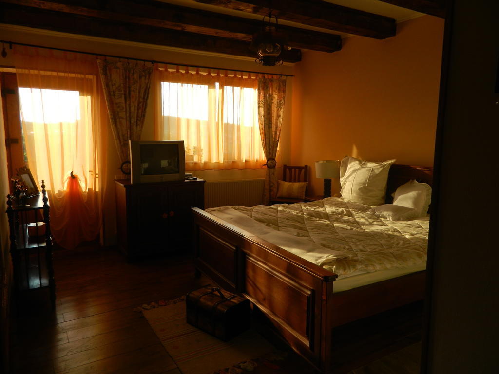 Pensiunea Romantic Sadu Exterior foto