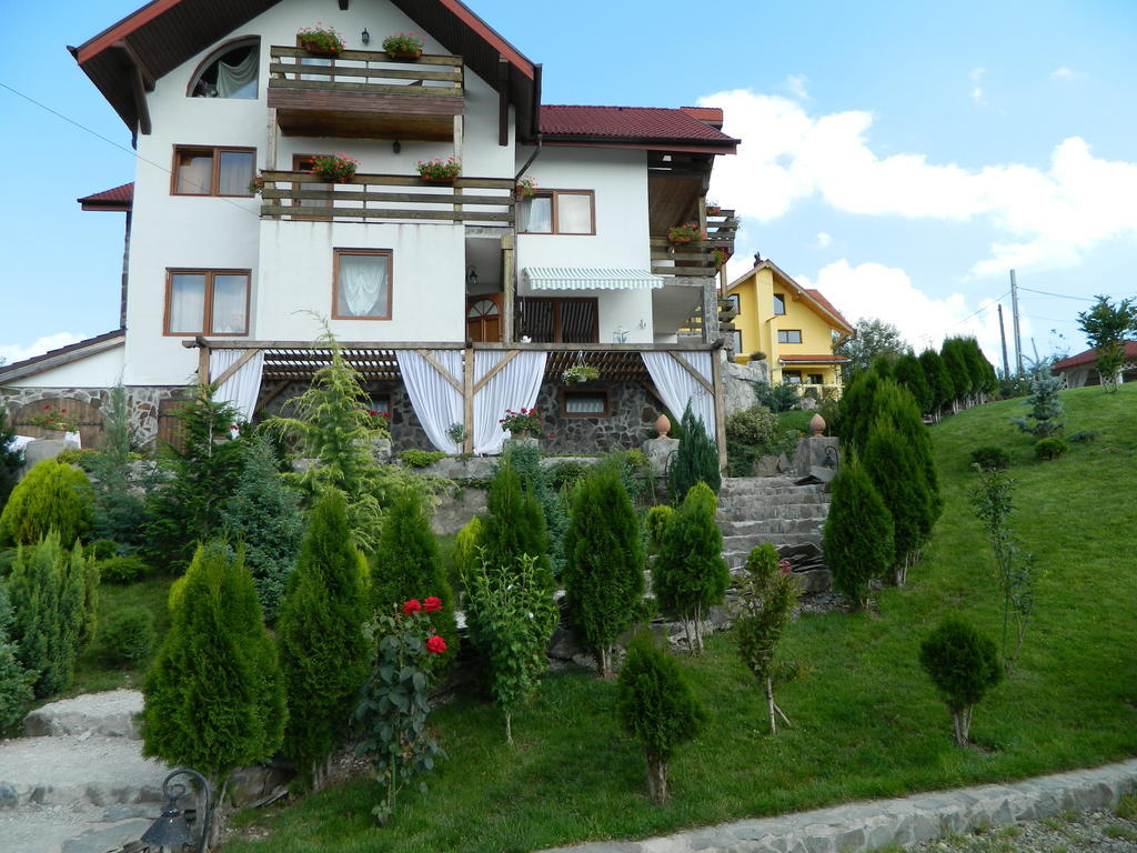 Pensiunea Romantic Sadu Exterior foto